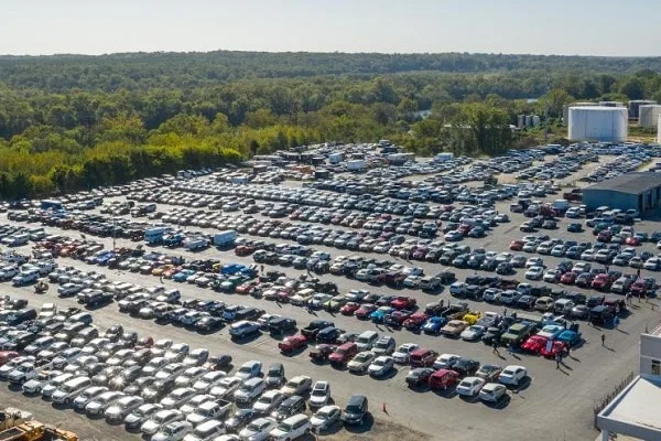 Company vehicle auction inventory